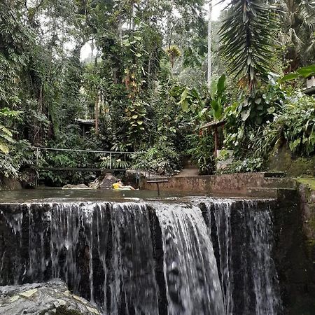 Апартаменты Toca Da Onca Пенеду Экстерьер фото